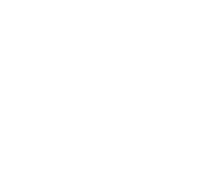 Letters in the dyslexia font after it is applied