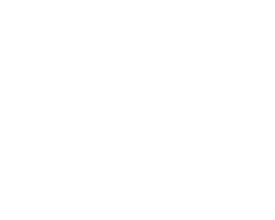 Letters in a standard font before the dyslexia font is applied